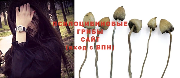 герыч Алзамай