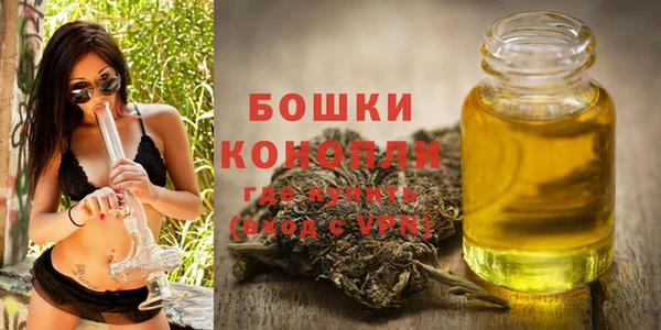 ГАЛЛЮЦИНОГЕННЫЕ ГРИБЫ Белая Холуница