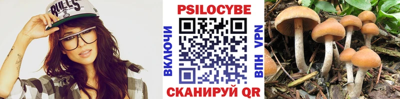 Галлюциногенные грибы мицелий Киров