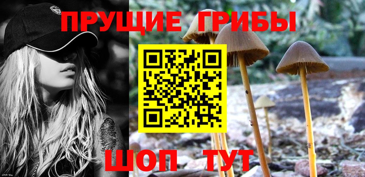 Галлюциногенные грибы Psilocybe  Вход с VPN  Галлюциногенные грибы MAGIC MUSHROOMS  Киров 